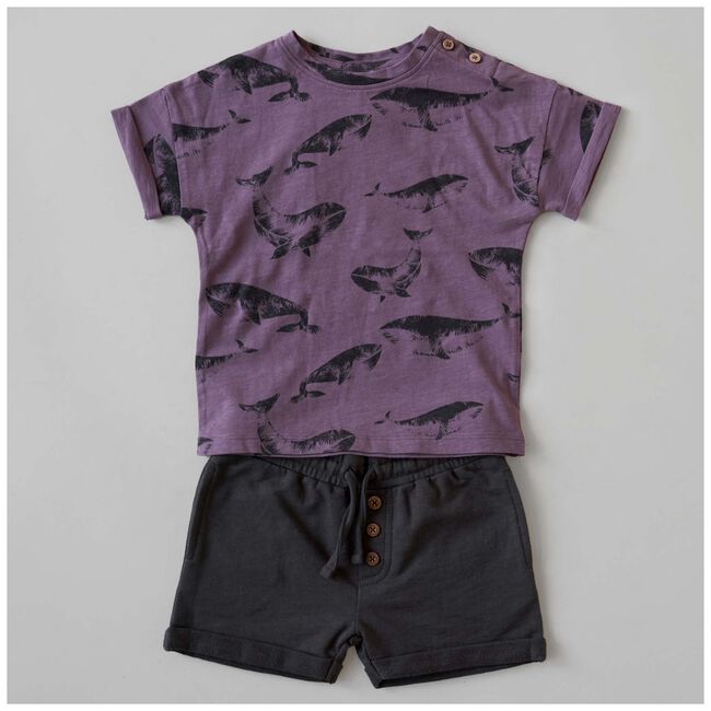 Prénatal baby T-shirt - Grape Purple