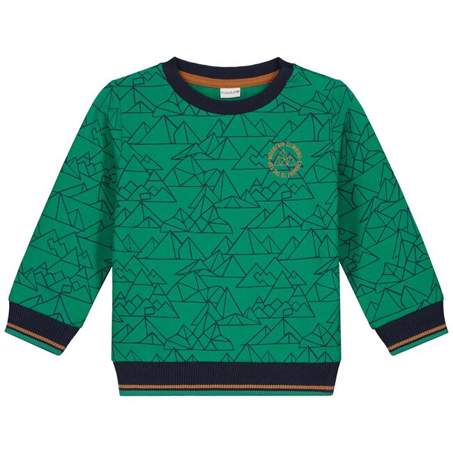 Play All Day baby sweater - Leaf Gree