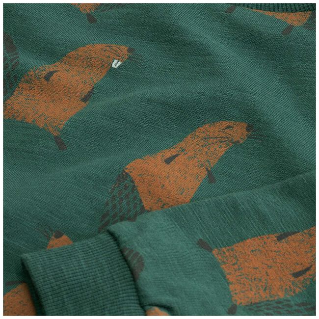 Prénatal peuter sweater - Seagreen