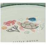 Little Dutch Zwembadje