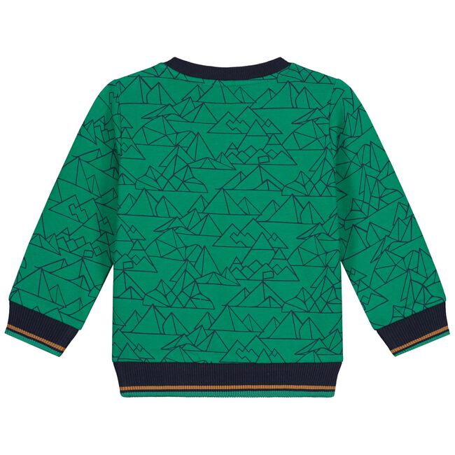 Play All Day peuter sweater - Leaf Gree